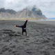 WHAT I LEARNED IN ICELAND